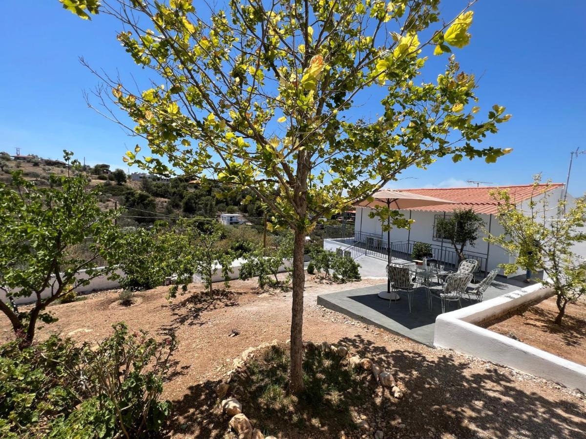 Oceanus Summer House Salamis Exterior photo