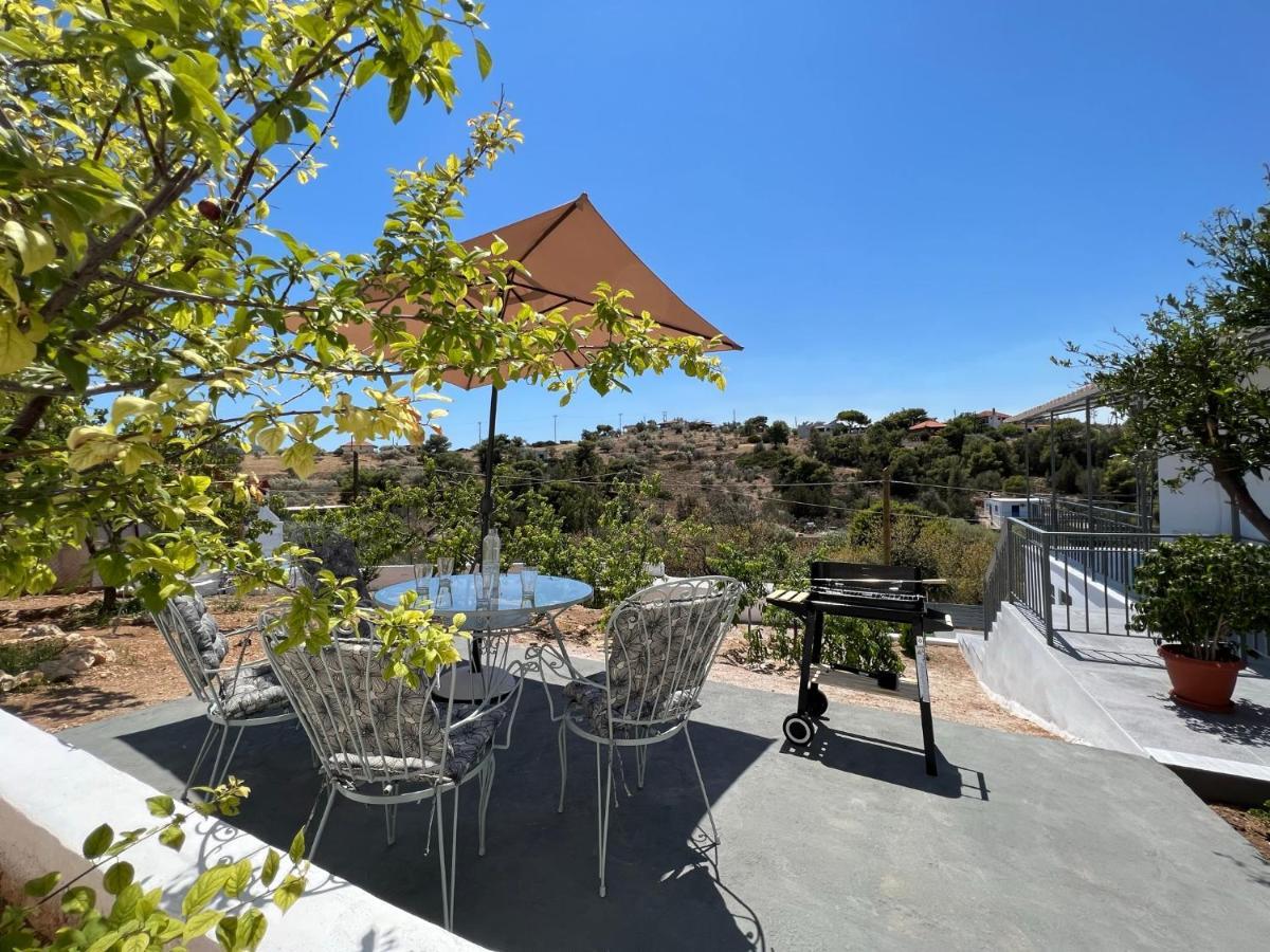 Oceanus Summer House Salamis Exterior photo