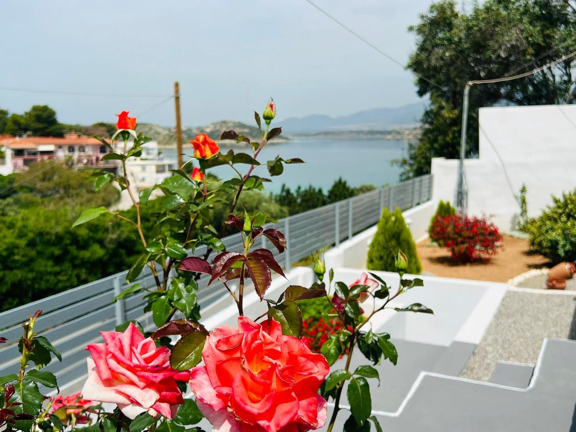 Oceanus Summer House Salamis Exterior photo